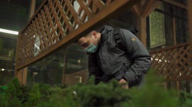 Karantina sırasında Noel alışverişi, koronavirüs salgını. Noel pazarının dışında maske takmış bir adam tencerede küçük bir Noel ağacı seçer, yeni norm covid 19.