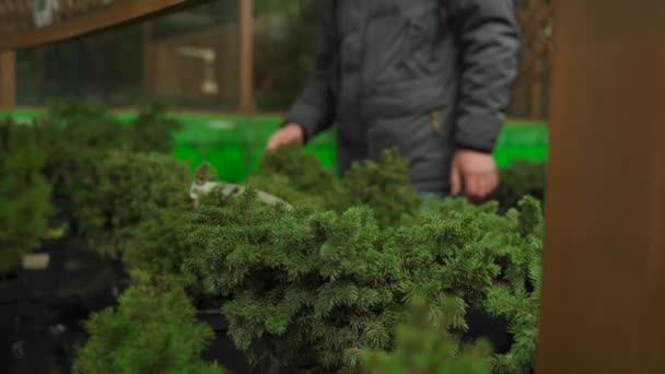 Compras navideñas en cuarentena, epidemia de coronavirus. Un hombre con una máscara en la cara en el mercado exterior de Navidad elige un pequeño árbol de Navidad en una olla, la nueva norma es covid 19 — Vídeo de stock