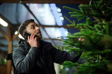 Kafkasyalı genç bir adam akşam açık hava pazarından Noel ağacını seçiyor karısıyla telefonda konuşuyor ve doğru seçim konusunda danışmanlık yapıyor. Noel ve yeni yıl tatillerinin sembolü. Tatil alışverişi..