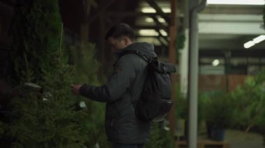 Kafkasyalı genç bir adam akşam açık hava pazarından Noel ağacını seçiyor karısıyla telefonda konuşuyor ve doğru seçim konusunda danışmanlık yapıyor. Noel ve yeni yıl tatillerinin sembolü. Tatil alışverişi.
