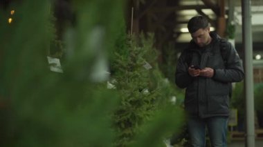 Kafkasyalı genç bir adam akşam açık hava pazarından Noel ağacını seçiyor karısıyla telefonda konuşuyor ve doğru seçim konusunda danışmanlık yapıyor. Noel ve yeni yıl tatillerinin sembolü. Tatil alışverişi.