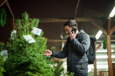 Kafkasyalı genç bir adam akşam açık hava pazarından Noel ağacını seçiyor karısıyla telefonda konuşuyor ve doğru seçim konusunda danışmanlık yapıyor. Noel ve yeni yıl tatillerinin sembolü. Tatil alışverişi..