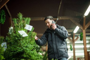Kafkasyalı genç bir adam akşam açık hava pazarından Noel ağacını seçiyor karısıyla telefonda konuşuyor ve doğru seçim konusunda danışmanlık yapıyor. Noel ve yeni yıl tatillerinin sembolü. Tatil alışverişi..