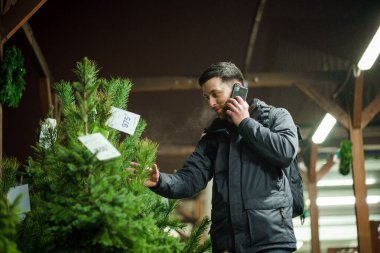 Kafkasyalı genç bir adam akşam açık hava pazarından Noel ağacını seçiyor karısıyla telefonda konuşuyor ve doğru seçim konusunda danışmanlık yapıyor. Noel ve yeni yıl tatillerinin sembolü. Tatil alışverişi..