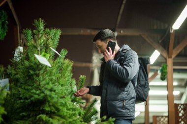 Kafkasyalı genç bir adam akşam açık hava pazarından Noel ağacını seçiyor karısıyla telefonda konuşuyor ve doğru seçim konusunda danışmanlık yapıyor. Noel ve yeni yıl tatillerinin sembolü. Tatil alışverişi..