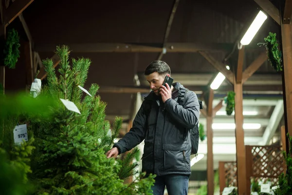 Şenlikli alışveriş, seçim ve Yeni Yıl nitelikleri satın alma. Beyaz adam telefonda konuşuyor ve yılbaşı arifesinde Noel ağacını seçmeyi tavsiye ediyor. Erkek ladin satın alır ve akıllı telefon kullanır..