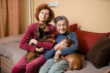 Temamız hayvan terapisi. Bunama ve Alzheimer hastası yaşlıların bakımı. Yetişkin kadınlar yaşlı anne ve evcil köpeklerle vakit geçirip neşe ve haz getirirler, sevdiklerine şefkat duyarlar..