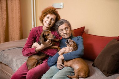 Temamız hayvan terapisi. Bunama ve Alzheimer hastası yaşlıların bakımı. Yetişkin kadınlar yaşlı anne ve evcil köpeklerle vakit geçirip neşe ve haz getirirler, sevdiklerine şefkat duyarlar..