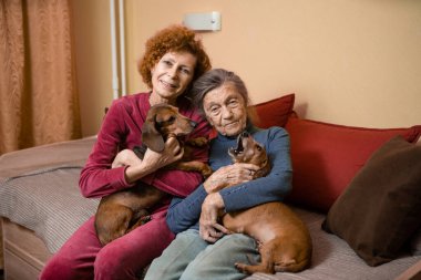 Yaşlı kadın ve yetişkin kızı kanepede iki dachshund köpeği ile birlikte mutlu bir şekilde vakit geçirir, portre çizerler. Anne-kız ilişkisinin teması, ebeveynlerin bakımı, aile bakımı..
