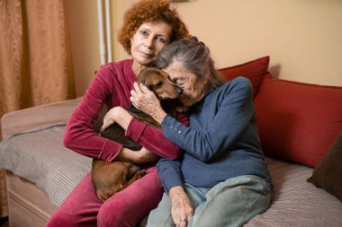 Temamız hayvan terapisi. Bunama ve Alzheimer hastası yaşlıların bakımı. Yetişkin kadınlar yaşlı anne ve evcil köpeklerle vakit geçirip neşe ve haz getirirler, sevdiklerine şefkat duyarlar..