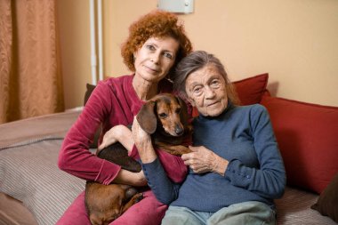 Temamız hayvan terapisi. Bunama ve Alzheimer hastası yaşlıların bakımı. Yetişkin kadınlar yaşlı anne ve evcil köpeklerle vakit geçirip neşe ve haz getirirler, sevdiklerine şefkat duyarlar..