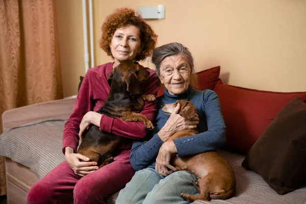 テーマは 認知症やアルツハイマー病の高齢者の世話をする動物療法です 大人の女性は 喜びと喜び 愛する人への愛情をもたらすために 高齢者の母親とペット犬と時間を過ごす — ストック写真