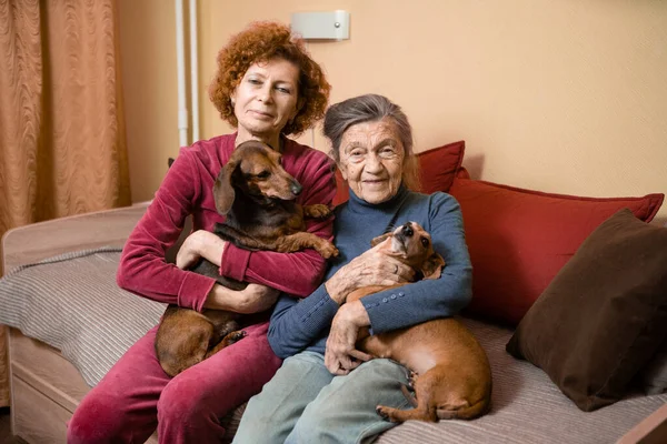 高齢の女性と彼女の大人の娘とソファの上に2匹のアヒルの犬と一緒に室内で楽しく 肖像画の時間を過ごす 母親と娘の関係 親の世話 家族の世話のテーマ — ストック写真