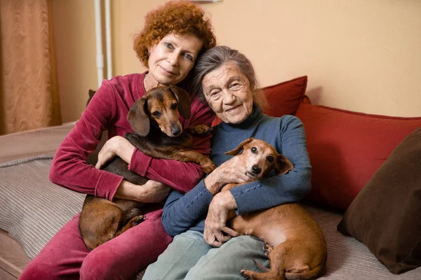 The theme is animal therapy, caring for elderly with dementia and Alzheimer's disease. Adult women spend time with elderly mother and pets dogs to bring joy and pleasure, affection for loved ones.