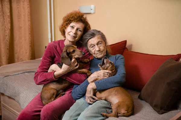 Anciana Hija Adulta Junto Con Dos Perros Salchichas Sofá Interior —  Fotos de Stock