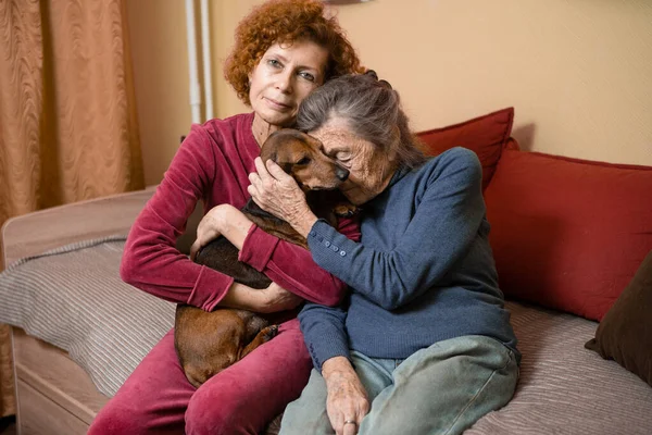 Tema Terapia Animal Cuidado Ancianos Con Demencia Enfermedad Alzheimer Las —  Fotos de Stock