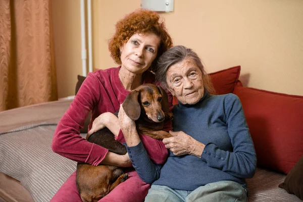 Temamız hayvan terapisi. Bunama ve Alzheimer hastası yaşlıların bakımı. Yetişkin kadınlar yaşlı anne ve evcil köpeklerle vakit geçirip neşe ve haz getirirler, sevdiklerine şefkat duyarlar..