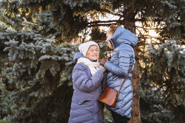 캅카스 어머니와 전나무에 얼굴을 맞대고 미소를 부모님과 시간을 보내며 크리스마스를 — 스톡 사진