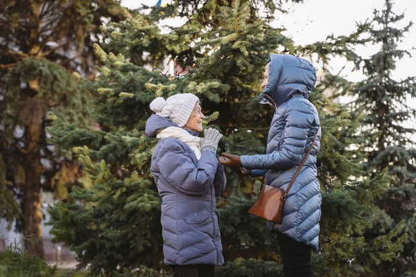 Donne Caucasiche Madre Anziana Figlia Matura Nel Giardino Inverno Sfondo — Foto Stock