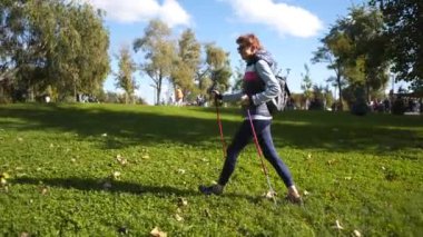 Yaşlı bir kadın parkta İskandinav sopaları ve evcil köpek dachshund ile yürüyor. Yürüyüş direğiyle yürüyen mutlu yaşlı kadın. Kıdemli bayan Nordic şehir parkında yürüyor, köpekli güneşli hava.
