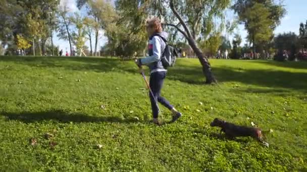 Зрелая белая женщина в хорошей форме занимается нордической ходьбой с треккинговыми палками и собакой в парке. Пожилая женщина делает скандальные прогулки со своим питомцем в городе. Спортивная активность с собаками для пожилых — стоковое видео