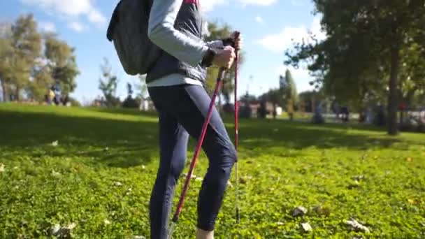 Son sınıf öğrencisi bir bayan evcil köpek arkadaşıyla yürüyor. Açık hava aktiviteleri, sağlıklı yaşam tarzı yaşlı insanlar ve evcil hayvanları. En iyi arkadaşlar yaşlı kadın ve köpek parkta sırıklarla yürüme alıştırması yapıyorlar. — Stok video