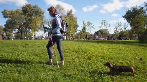 公園でトレッキングポールや犬とノルディックウォーキングに従事良好な形状の成熟した白人女性。高齢の女性は市内でペットと一緒にスカンジナビアの散歩をしている。シニアのための犬とスポーツ活動 — ストック動画