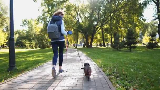 Старшая женщина скандинавская прогулка с собакой подруга домашнего животного. Занятия на свежем воздухе и здоровый образ жизни пожилых людей и их питомцев. Лучшие друзья старая женщина и собачка практикующая скандинавскую ходьбу с шестом в парке — стоковое видео