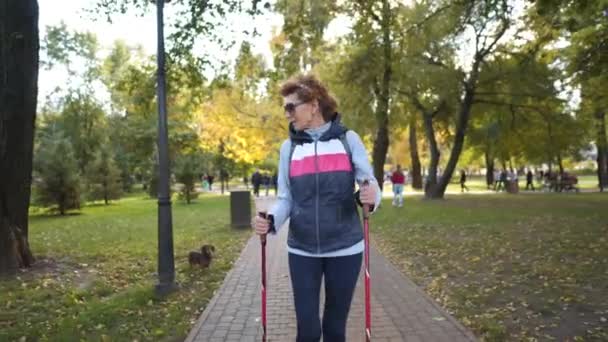 Blanc mince femme âgée active loisirs scandinave marche avec des bâtons et teckel chien dans le parc de la ville, temps ensoleillé. Femme âgée active pratiquant la marche nordique avec poteaux à l'extérieur avec animal de compagnie — Video
