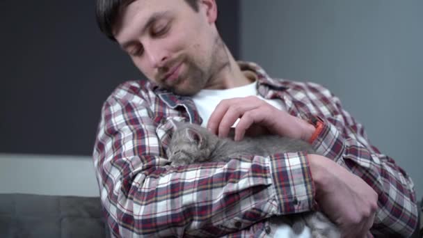 Mascotas tema de amor. El hombre protege suavemente el sueño de la raza gatita británica de orejas primas sosteniendo en brazos y acariciando en casa. Preciosa relación entre humano y mascota. escocés recta gris gatito sueño — Vídeos de Stock