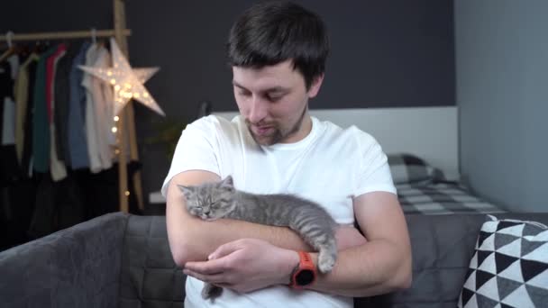 Mascotas tema de amor. El hombre protege suavemente el sueño de la raza gatita británica de orejas primas sosteniendo en brazos y acariciando en casa. Preciosa relación entre humano y mascota. escocés recta gris gatito sueño — Vídeos de Stock