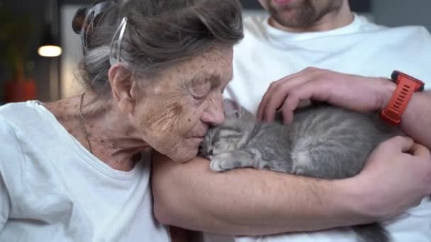 Счастливая пожилая женщина обнимается и целуется, обнимается лицом к лицу с маленьким симпатичным серым котенком, который держит на руках своего внука во время визита к бабушке в дом престарелых. Любовь к старым женским и детским животным — стоковое видео