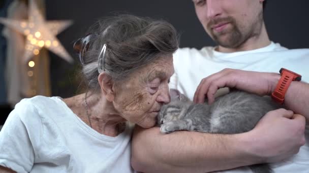 Male assistant, volunteer and senior woman with cute kitten cat with lovely moment, pet and an old human concept. Love of pets, love and care of cats, best friends, cat love, loved and happy pets — Stock Video