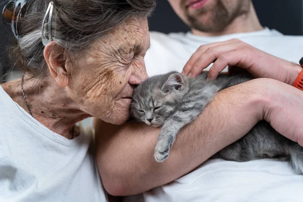 Auxiliar Masculino Voluntario Mujer Mayor Con Gatito Lindo Gato Con —  Fotos de Stock