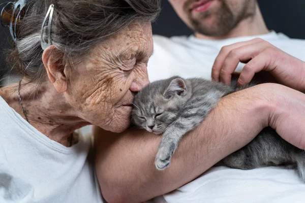 Mujer Mayor Ternura Besos Lindo Gris Escocés Recta Gatito Sofá —  Fotos de Stock