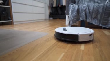 Evde otomatik ekipman işe yarıyor. Çizgili İskoç renkli komik kedi yavrusu evde robot elektrikli süpürge temizleme odasında oynarken oynuyor. Akıllı ev aletleri