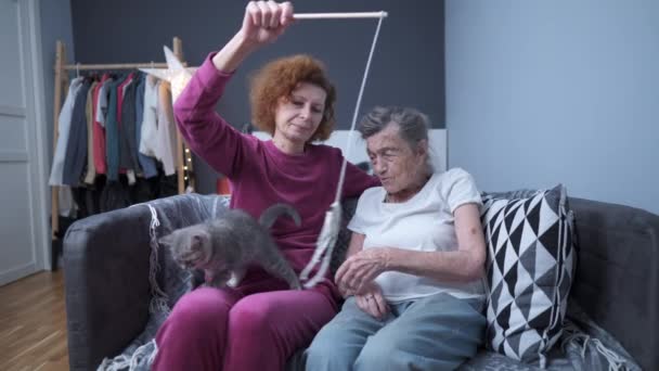 L'assistante bénévole utilise le chaton pour améliorer l'humeur et la condition physique de la patiente âgée à la maison de retraite. Vieille grand-mère et fille mature jouant avec un petit jouet de chat assis sur un canapé — Video