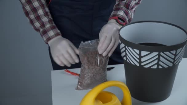 Handen van mannelijke tuinman transplanteren kleine dennenboom in nieuwe pot in studio op grijze achtergrond. Tuinieren en onderhoud van huishoudelijke planten. Transplanteren van huisseplant sparren van kleine naar grote pot thuis — Stockvideo