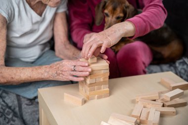 Emekli anne ve kızı evde birlikte vakit geçirir, masa oyunu oynar ve dachshund köpeği okşarlar. Kafkas kıdemli kadın bakım evinde gönüllü asistanı olan ahşap bloklardan bir kule inşa ediyor..