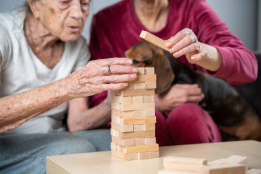 Emekli anne ve kızı evde birlikte vakit geçirir, masa oyunu oynar ve dachshund köpeği okşarlar. Kafkas kıdemli kadın bakım evinde gönüllü asistanı olan ahşap bloklardan bir kule inşa ediyor..