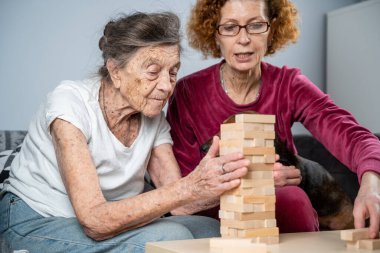 Bunama terapisi. Sosyal hizmetler görevlisi ve köpek, huzurevindeki senyör hasta ile bir eğitim masası oyunu oynuyor. Jenga oyunu. Bakıcı, evcil hayvan ve yaşlı kadın huzurevinde bloklardan bir kule inşa ediyor..