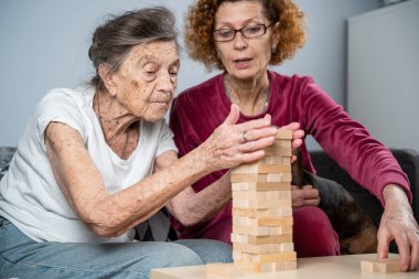 Bunama terapisi. Sosyal hizmetler görevlisi ve köpek, huzurevindeki senyör hasta ile bir eğitim masası oyunu oynuyor. Jenga oyunu. Bakıcı, evcil hayvan ve yaşlı kadın huzurevinde bloklardan bir kule inşa ediyor..