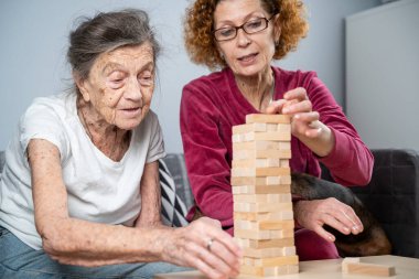 Bunama terapisi. Sosyal hizmetler görevlisi ve köpek, huzurevindeki senyör hasta ile bir eğitim masası oyunu oynuyor. Jenga oyunu. Bakıcı, evcil hayvan ve yaşlı kadın huzurevinde bloklardan bir kule inşa ediyor..