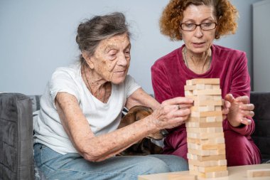 Bunama terapisi. Sosyal hizmetler görevlisi ve köpek, huzurevindeki senyör hasta ile bir eğitim masası oyunu oynuyor. Jenga oyunu. Bakıcı, evcil hayvan ve yaşlı kadın huzurevinde bloklardan bir kule inşa ediyor..