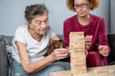 Bunama terapisi. Sosyal hizmetler görevlisi ve köpek, huzurevindeki senyör hasta ile bir eğitim masası oyunu oynuyor. Jenga oyunu. Bakıcı, evcil hayvan ve yaşlı kadın huzurevinde bloklardan bir kule inşa ediyor..