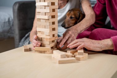 Bunama terapisi. Sosyal hizmetler görevlisi ve köpek, huzurevindeki senyör hasta ile bir eğitim masası oyunu oynuyor. Jenga oyunu. Bakıcı, evcil hayvan ve yaşlı kadın huzurevinde bloklardan bir kule inşa ediyor..