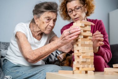 Bunama terapisi. Sosyal hizmetler görevlisi ve köpek, huzurevindeki senyör hasta ile bir eğitim masası oyunu oynuyor. Jenga oyunu. Bakıcı, evcil hayvan ve yaşlı kadın huzurevinde bloklardan bir kule inşa ediyor..