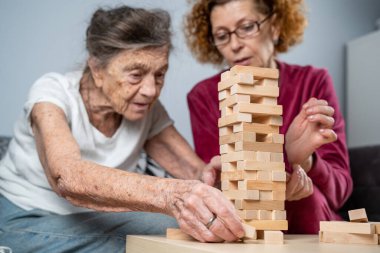 Bunama terapisi. Sosyal hizmetler görevlisi ve köpek, huzurevindeki senyör hasta ile bir eğitim masası oyunu oynuyor. Jenga oyunu. Bakıcı, evcil hayvan ve yaşlı kadın huzurevinde bloklardan bir kule inşa ediyor..