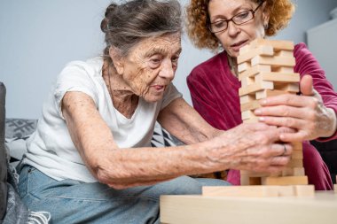 Bunama terapisi. Sosyal hizmetler görevlisi ve köpek, huzurevindeki senyör hasta ile bir eğitim masası oyunu oynuyor. Jenga oyunu. Bakıcı, evcil hayvan ve yaşlı kadın huzurevinde bloklardan bir kule inşa ediyor..