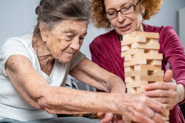 Bunama terapisi. Sosyal hizmetler görevlisi ve köpek, huzurevindeki senyör hasta ile bir eğitim masası oyunu oynuyor. Jenga oyunu. Bakıcı, evcil hayvan ve yaşlı kadın huzurevinde bloklardan bir kule inşa ediyor..